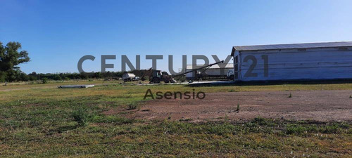 Imagen 8 de 22 de Granja Modelo Productora Huevos Venta Automatizada Baradero, Campo 4hts