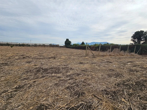 Parcela En Venta En Quillota