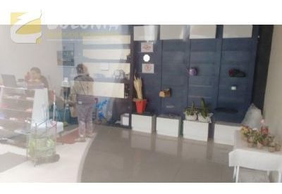 Imagem 1 de 11 de Comercial - Ref: 42044