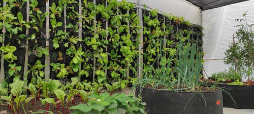 Imagen 9 de 10 de Jardín Vertical Reforzado - Fondo Impermeable De 8 Bolsillos