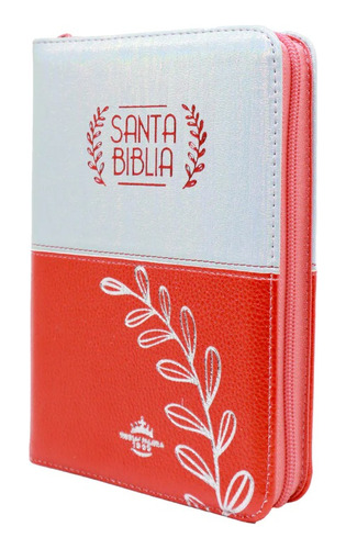 Biblia Rvr-1960 Rosa Plateado Letra G. 11 Pt / Cierre Índice
