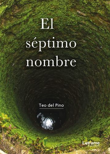 Imagen 1 de 1 de El Séptimo Nombre, De Teodoro Del Pino Merino