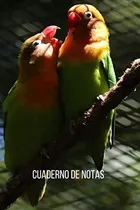 Comprar Libro: Cuaderno Notas Loros Inseparables: Diario Compo