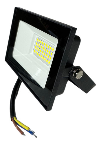 Reflector Luz Led 30w Luz Fria