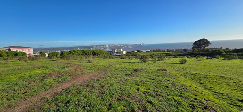 Punta De Piedra A 4k De Rotonda Concón