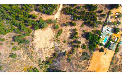 Espectacular Terreno De 10.000m² Hacienda Reñaca