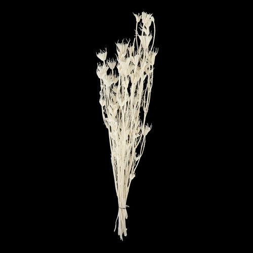 Ramo De Flores De Anisa De Estrellas Secas Naturales Centros