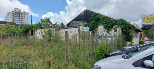 Imagem 2 de 6 de Terreno A Venda No Bairro Trindade Em Florianopolis - V-83350