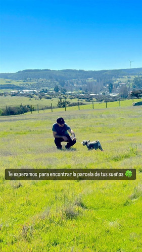 Gran Venta Final En Hacienda Don Bastián A 2 Horas Santiago