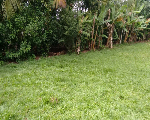 Chácara 1.500 M² - Palermo - Gravataí - Rs - 1083 - 32419604