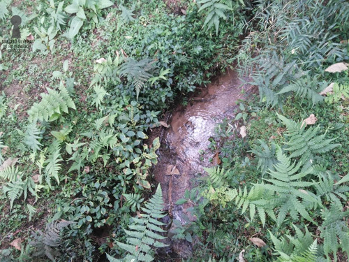 Chácara A Venda No Bairro Centro Em Bocaiúva Do Sul - Pr. - 369-1