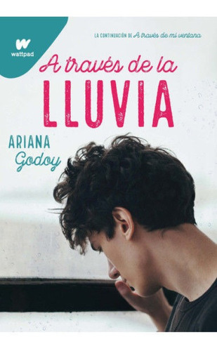 Libro: A Través De La Lluvia / Ariana Godoy