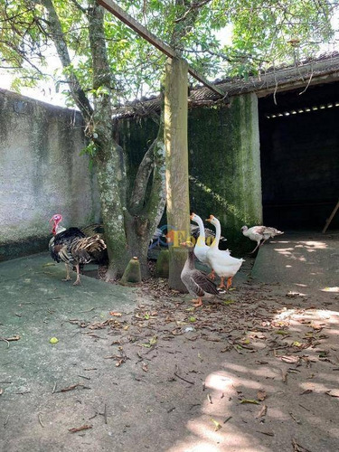 Imagem 9 de 30 de Maravilhoso Sítio Com Vista Cinematográfica, 3 Dormitórios, 1 Suíte E Piscina No Summertime Barreiro - Itatiba/sp - Si0014