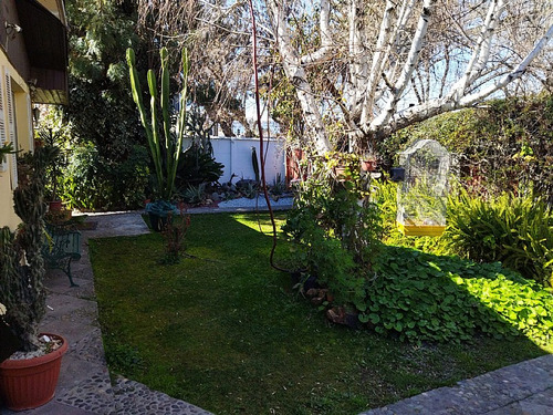 Buin- Carlos Condell