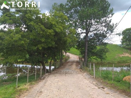 Belo Haras À Venda Em Porto Feliz - Ha00013 - 69329721