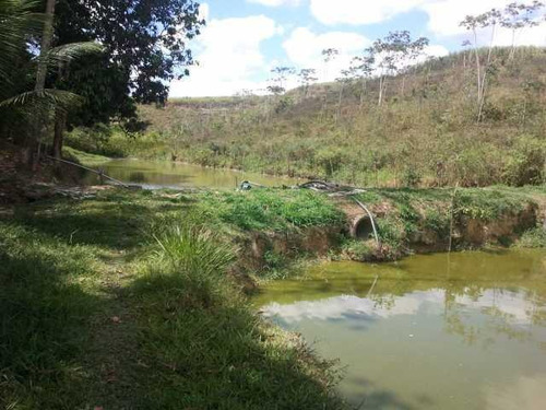 Imagem 9 de 16 de Chácara À Venda, 40000 M² Por R$ 800.000,00 - Abc - Moreno/pe - Ch0001