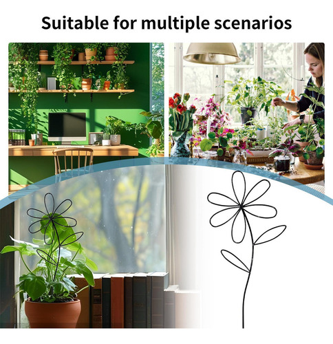 * Planta Trellis Interior Enrejado For Trepar Plantas