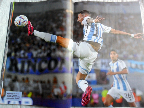 Campeones : Caras Ed. Especial Argentina Mundial Qatar 2022