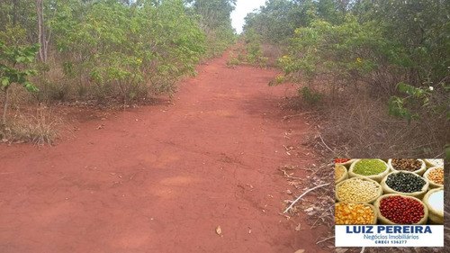 Imagem 5 de 15 de Fazenda Á Venda Em São Valerio - To - De 225 Alqueirões - 1586