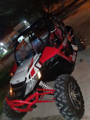 Wild Cat 1000