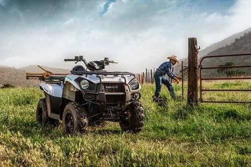 Imagen 11 de 14 de Cuatri Kawasaki Brute Force 300