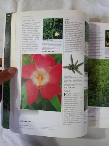 Brown: Enciclopedia De Las Hierbas Y Sus Usos