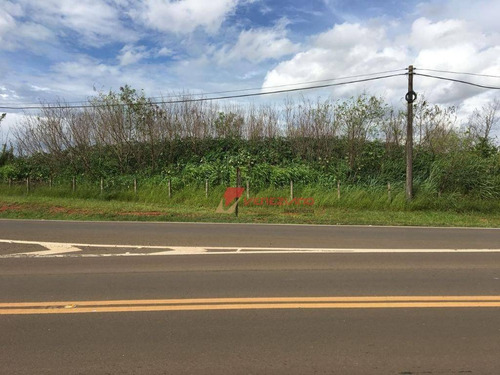 Imagem 3 de 4 de Terreno Comercial À Venda, Piracicaba. - Te0421