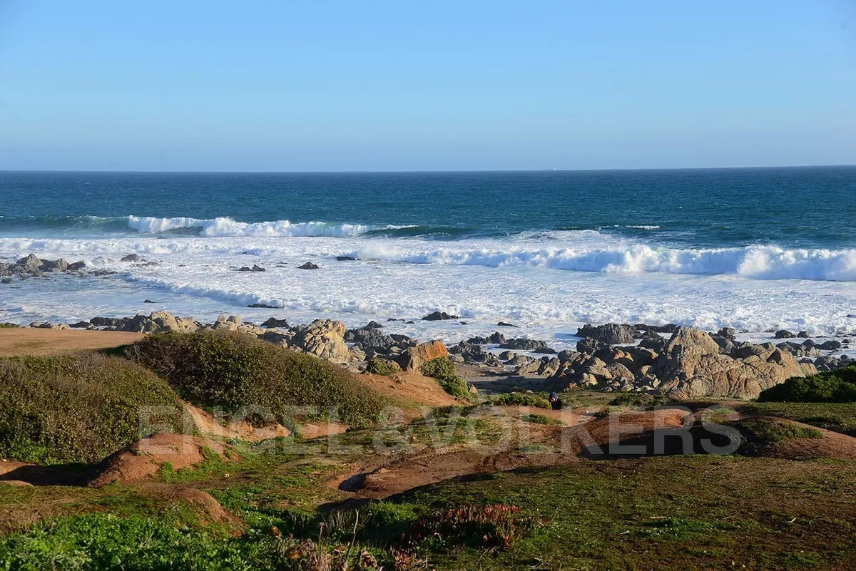 Vista Al Mar En Isla Negra.