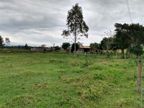 Chácara 20.000 M² - Passo Dos Pachecos - Glorinha - Rs - 2134 - 33951871