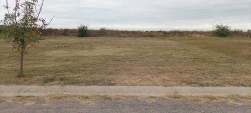 Imagen 5 de 5 de Lote En La Pampeana De 800mts