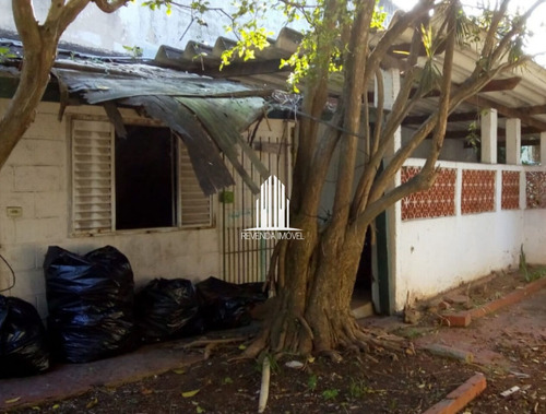 Imagem 7 de 10 de Oportunidade De Terreno Para Alugar Com 700m² E Casa Antiga Nos Fundos - Campo Belo - Mz8086