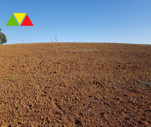 Imagem 6 de 30 de Chácara À Venda Em Contenda, Araucária R$ 500.000,00 - Ch00113 - 68066926