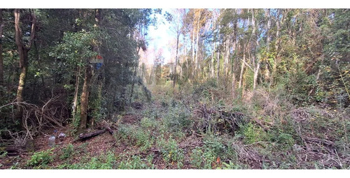 En Venta Terreno En Pucón Paraíso Residencial
