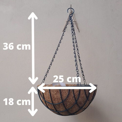 Vaso De Coco Suspenso Redondo Vertical Orquídea Ornamentais
