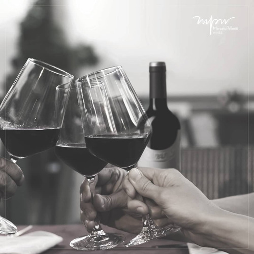 Imagen 3 de 10 de Vino Marcelo Pelleriti Signature Malbec 750ml. - Envíos