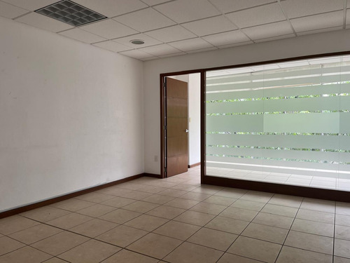 Oficina En Renta- Hamburgo - Piso 3 - 185m2