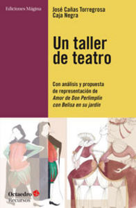 Un Taller De Teatro (libro Original)