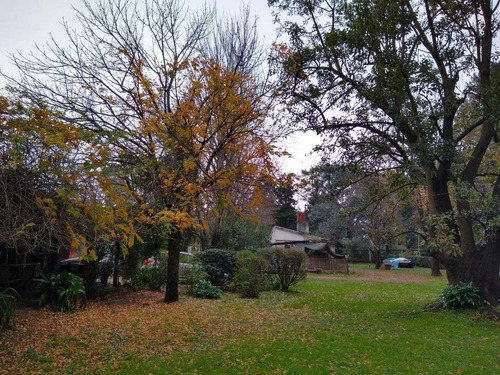 Imagen 9 de 13 de Quinta En Virrey Del Pino Barrio Oro Verde
