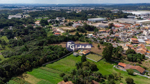 Imagem 23 de 30 de Terreno À Venda, 17538 M² Por R$ 3.500.000,00 - Guatupê - São José Dos Pinhais/pr - Te0074