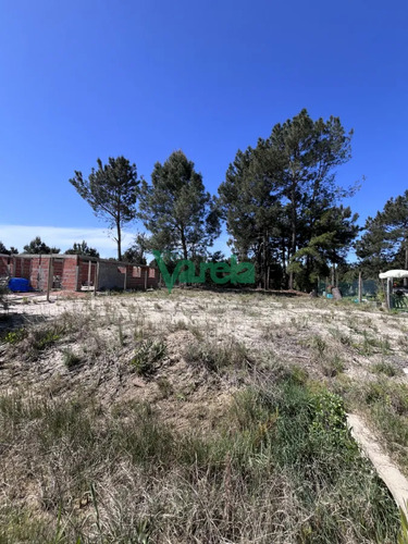 Terreno En Venta Financiado El Pinar Norte