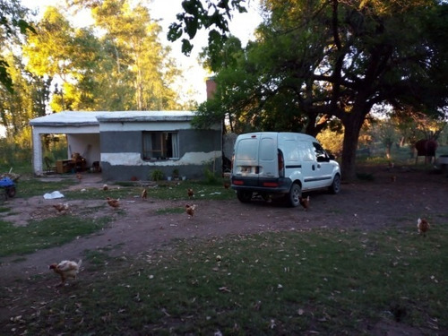 Vendo Finca Con Bosque De Eucaliptus