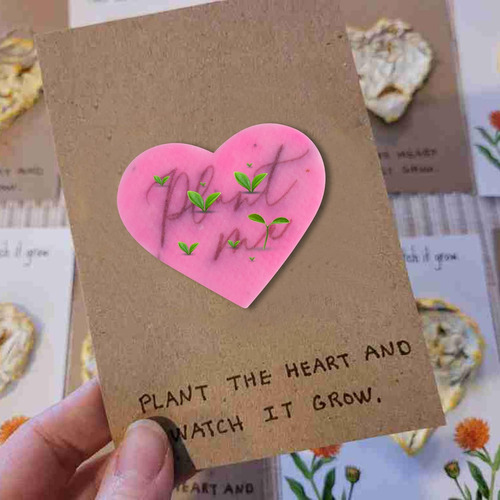 Papel Plantable Plant Me Seeded Paper, Obsequio De Pape...