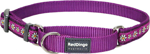 Collar Perro Rojo Dingo Diseñador Martingala  Grande