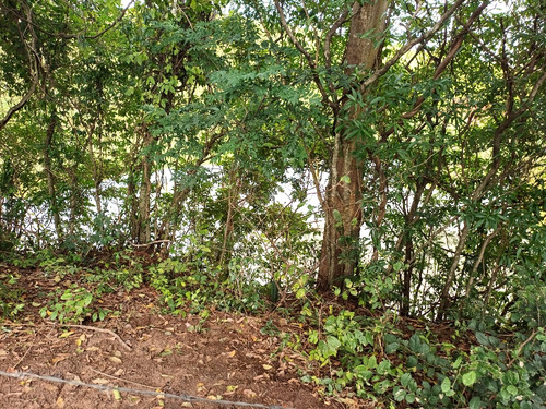 Chácara Em Área Rural Com 3.500 Metros Quadrados.