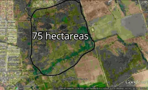 Imagen 9 de 9 de Terreno En Venta Guacara Ciudad Alianza
