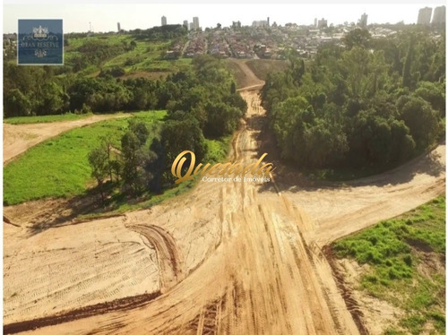Imagem 5 de 7 de Terreno - Te00216 - 69488563