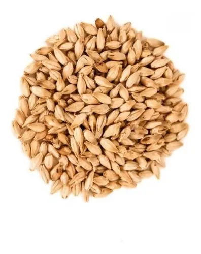 Malta Pilsen Uma 25 Kilos Bolsa Sellada Premium