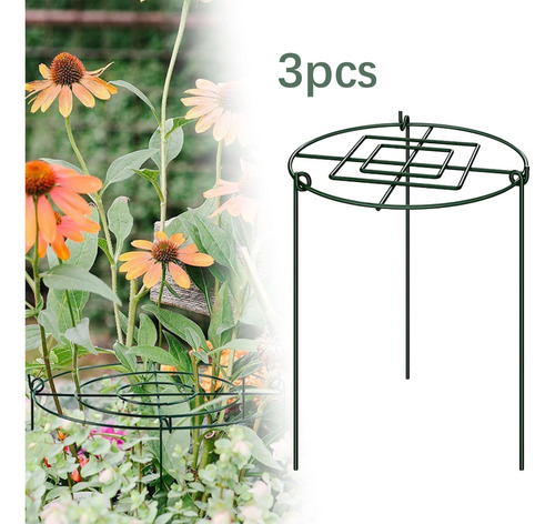 3 Estacas De Soporte Para Peonías Que Crecen A Través De Aro