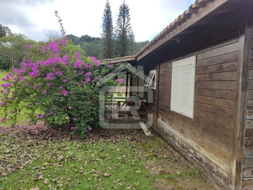 Imagem 21 de 30 de Excelente Sitio Com Topografia Plana, Rico Em Aguá - 12 - 69839868