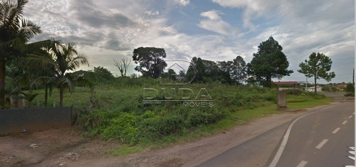 Imagem 7 de 15 de Terreno Comercial - Sangao - Ref: 30533 - V-30531